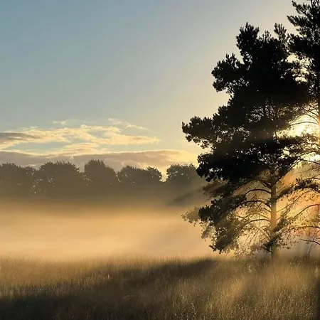 In Veluwe With Peaceful Surroundings, Cleaning Included Hébergement de vacances