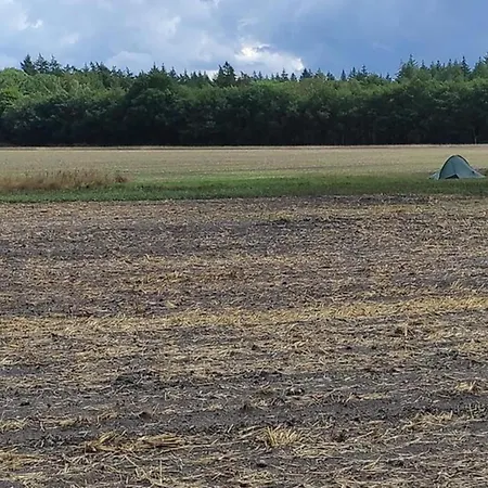 In Veluwe With Peaceful Surroundings, Cleaning Included