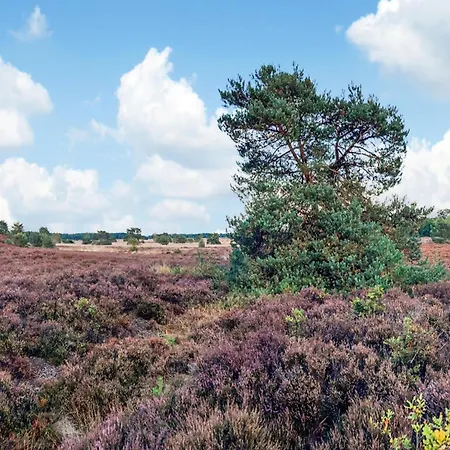 In Veluwe With Peaceful Surroundings, Cleaning Included Hébergement de vacances *