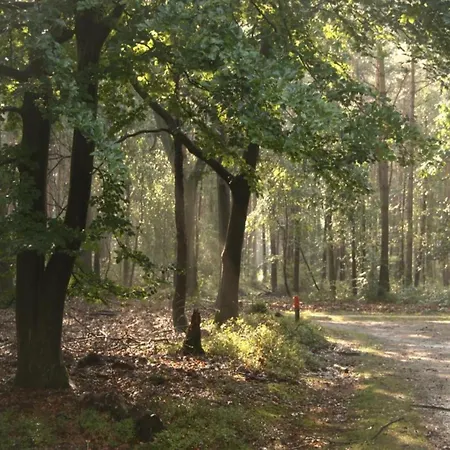 In Veluwe With Peaceful Surroundings, Cleaning Included *