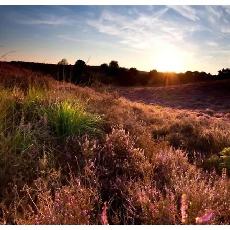In Veluwe With Peaceful Surroundings, Cleaning Included * Voorthuizen
