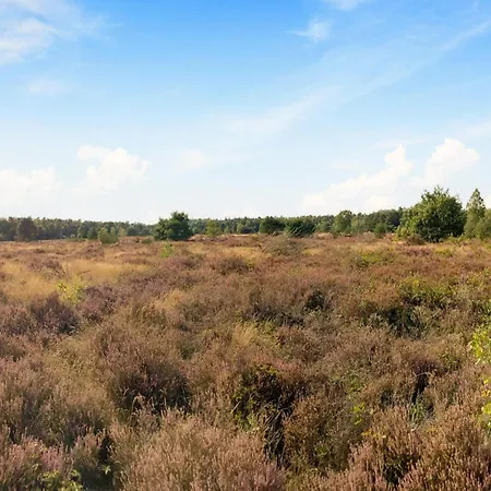 In Veluwe With Peaceful Surroundings, Cleaning Included