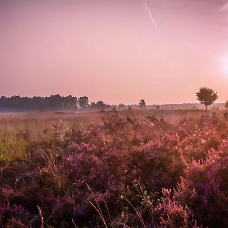Hébergement de vacances In Veluwe With Peaceful Surroundings, Cleaning Included